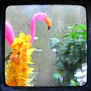 My Flamingo With a Lovely Paint Filter